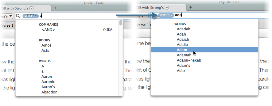 On the left, someone has typed only "a" in the Search Entry box, resulting in several items being offered in the Quick Entry pop-up menu. On the right more letters have been entered, with fewer items offered to choose from.