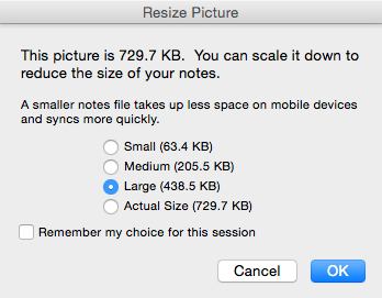 Resize Picture dialog box lets you resize pictures added to a User Note or User Tool