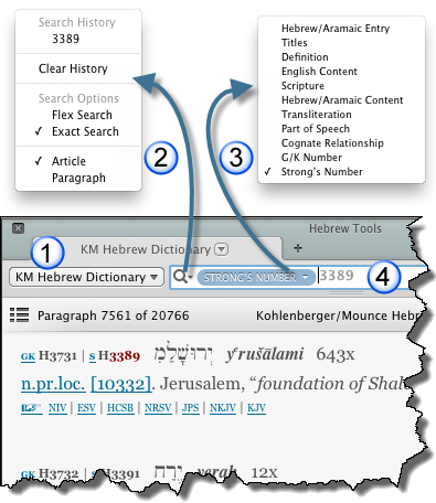 A Tools Tab after Amplifying