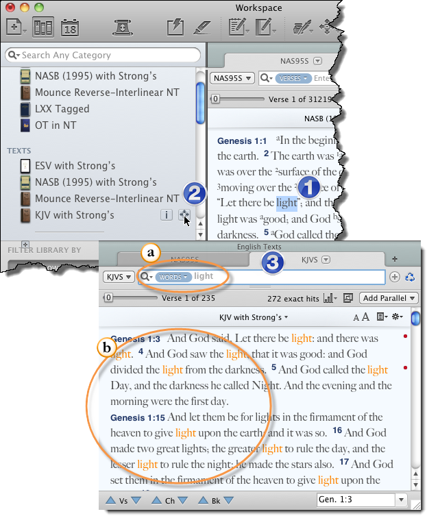 Understanding the Amplify Process in Accordance