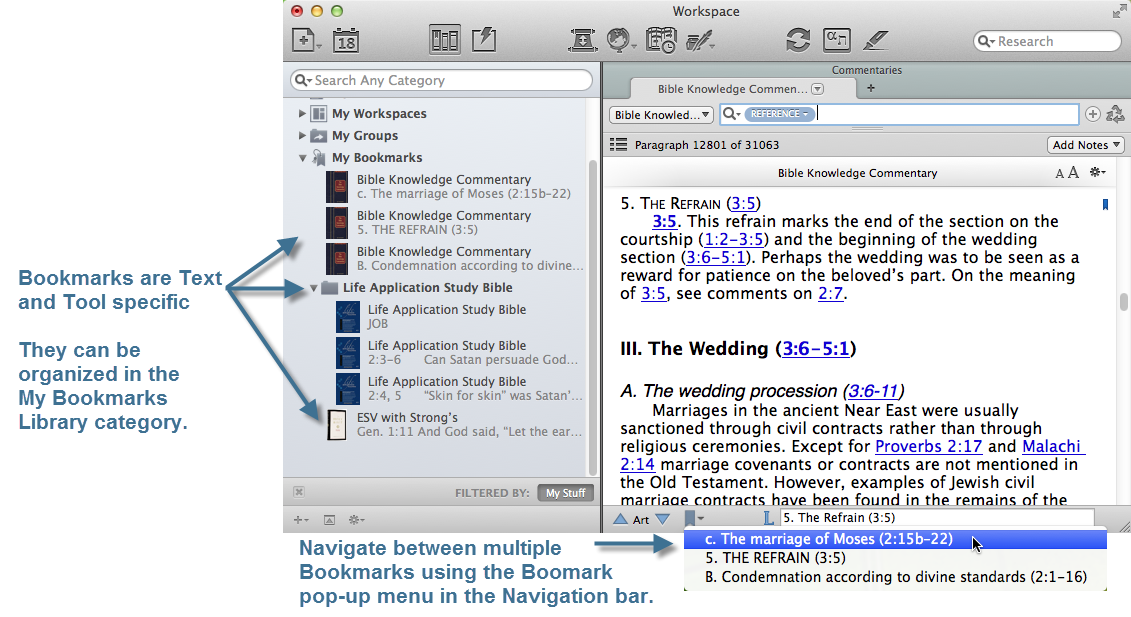 This picture shows Bookmarks in a custom arrangement in the Library, and the Navigation bar with the Bookmarks pop-up menu for navigating between bookmarks in a resource.