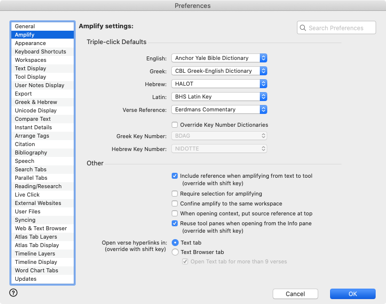 Amplify area of the Preferences dialog box