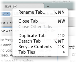 Shortcut menu for a Tab in a Workspace