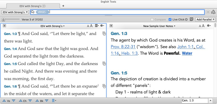 Example of a User Notes pane, opened by clicking the Page icon to the right of the verses in the active pane