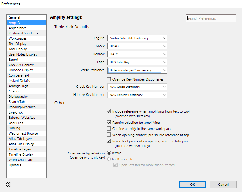 Amplify area of the Preferences dialog box