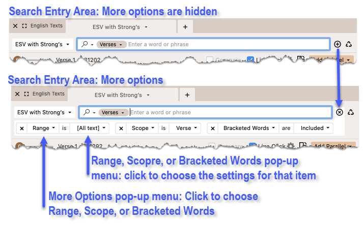 Locating additional (More) search options such as Range and Scope