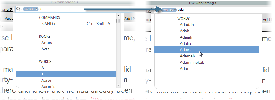 On the left, someone has typed only "a" in the Search Entry box, resulting in several items being offered in the Quick Entry pop-up menu. On the right more letters have been entered, with fewer items offered to choose from.